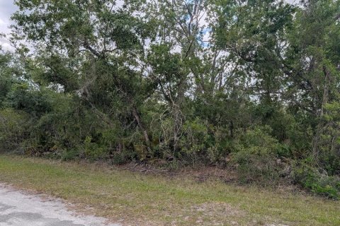 Land in Indian lake estates, Florida № 2159282 - photo 4