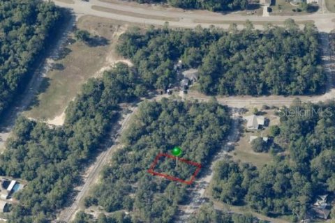 Land in Citrus Springs, Florida № 2161549 - photo 2