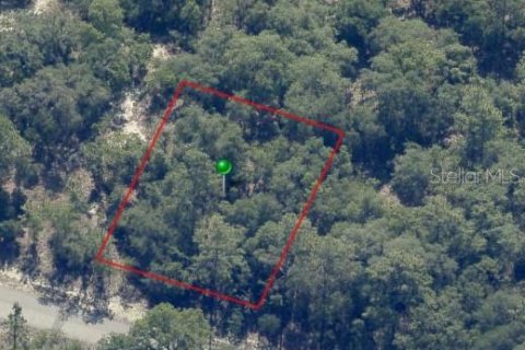 Land in Citrus Springs, Florida № 2161549 - photo 3