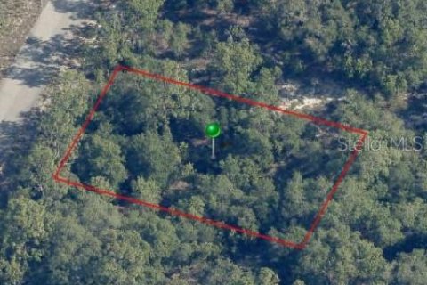Land in Citrus Springs, Florida № 2161549