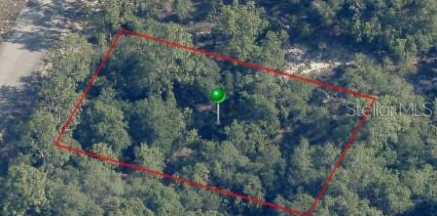 Land in Citrus Springs, Florida № 2161549
