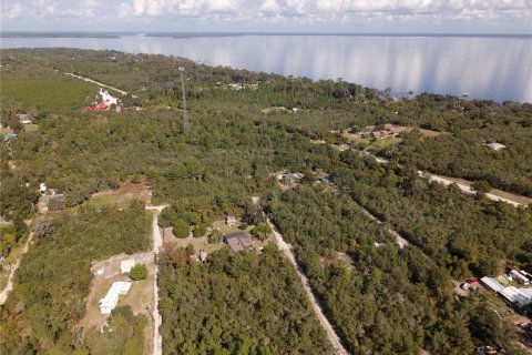 Land in Fort MC Coy, Florida № 2159283 - photo 4