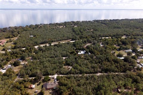 Land in Fort MC Coy, Florida № 2159283 - photo 2