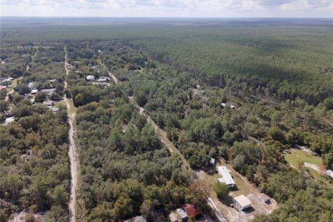 Land in Fort MC Coy, Florida № 2159283 - photo 5