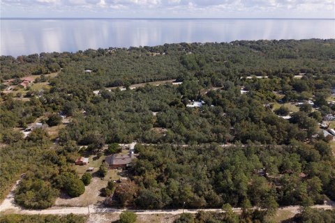 Land in Fort MC Coy, Florida № 2159283 - photo 9