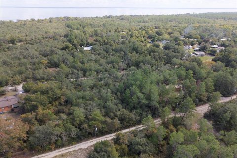 Land in Fort MC Coy, Florida № 2159283 - photo 3