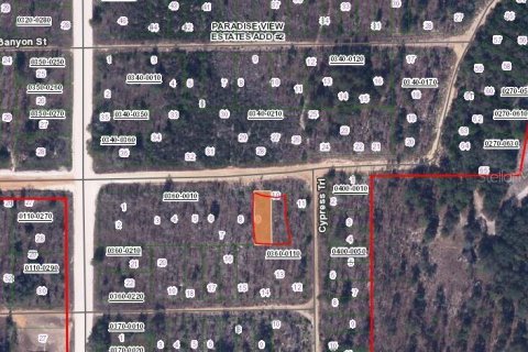 Land in Interlachen, Florida № 2223861 - photo 2
