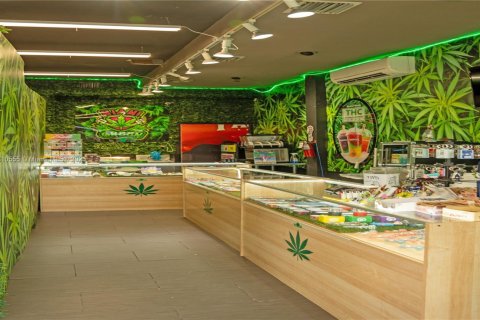 Commercial property in Key West, Florida № 2013290 - photo 9