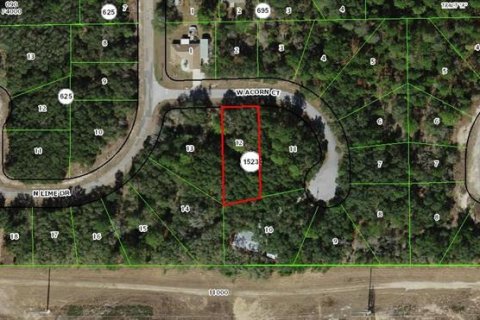 Land in Dunnellon, Florida № 2162770