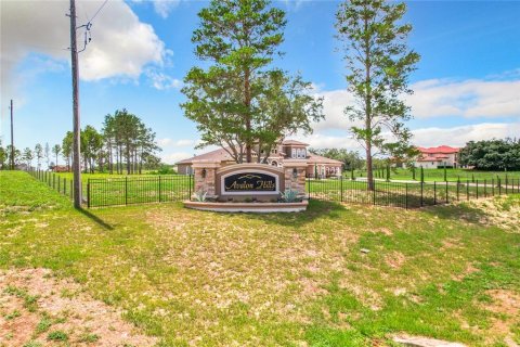 Terreno en venta en Winter Garden, Florida № 1267476 - foto 5