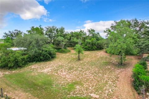 Terreno en venta en Winter Garden, Florida № 1267476 - foto 9
