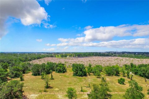 Terreno en venta en Winter Garden, Florida № 1267476 - foto 4