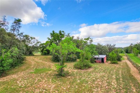 Terreno en venta en Winter Garden, Florida № 1267476 - foto 10