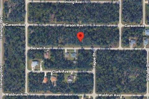 Land in Port Charlotte, Florida № 2205345