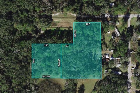 Land in Webster, Florida № 1884076 - photo 1