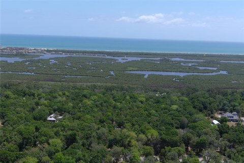 Land in Flagler Beach, Florida № 1675869 - photo 5