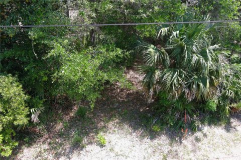 Land in Flagler Beach, Florida № 1675869 - photo 11