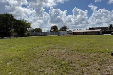 Immobilier commercial à vendre à Homestead, Floride № 2043566 - photo 2
