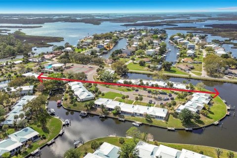 Condo in Crystal River, Florida, 1 bedroom  № 2232790