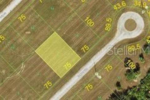 Terreno en venta en Placida, Florida № 2161698 - foto 2