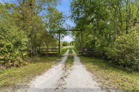 Villa ou maison à vendre à Duette, Floride: 3 chambres, 168.62 m2 № 2330821 - photo 2