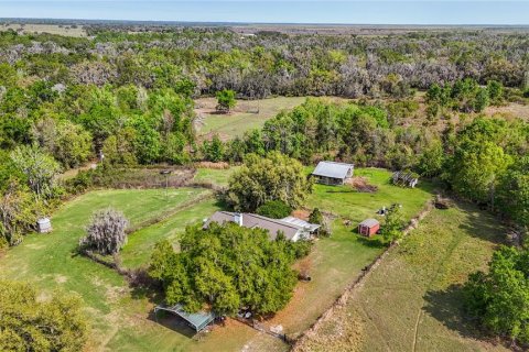 Villa ou maison à vendre à Duette, Floride: 3 chambres, 168.62 m2 № 2330821 - photo 3