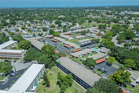 Condo in Clearwater, Florida, 1 bedroom № 2232632 - photo 23