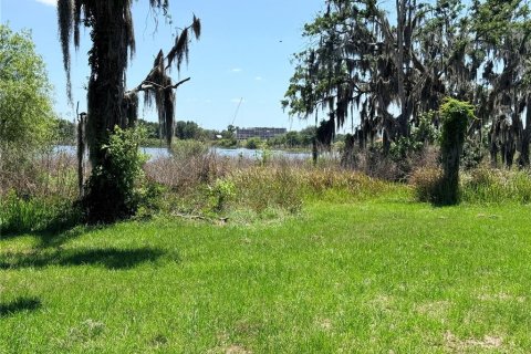 Terreno en venta en Wesley Chapel, Florida № 2098989 - foto 8