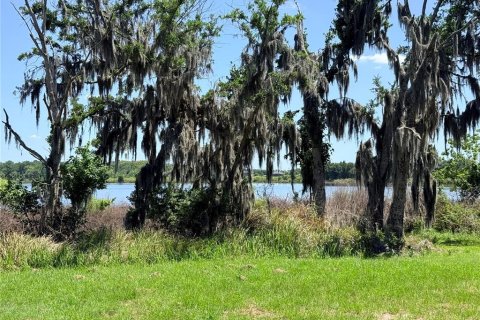 Terreno en venta en Wesley Chapel, Florida № 2098989 - foto 10