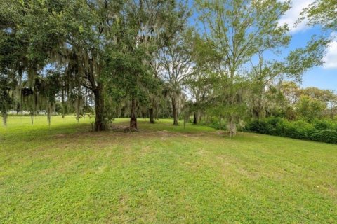 Terreno en venta en Wesley Chapel, Florida № 2098989 - foto 3