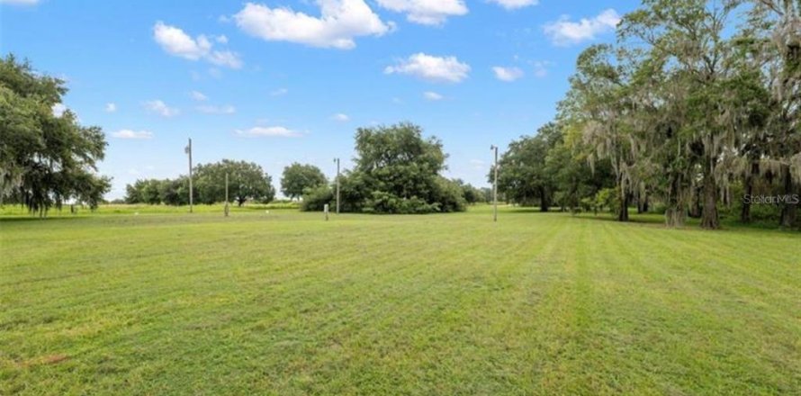 Terreno en Wesley Chapel, Florida № 2098989