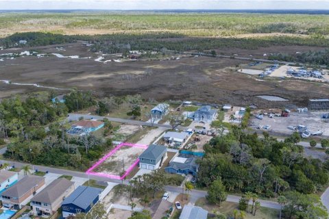 Land in Hernando Beach, Florida № 2218902 - photo 6