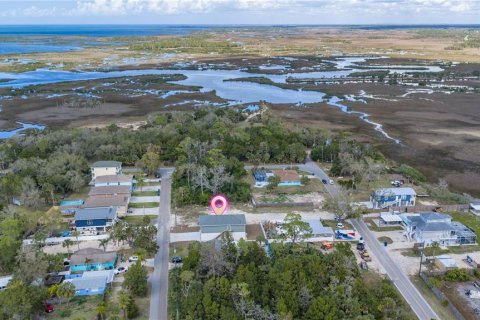 Land in Hernando Beach, Florida № 2218902 - photo 7