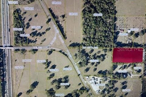 Land in Oxford, Florida № 214402 - photo 1