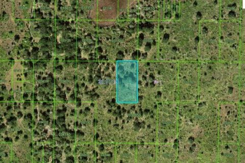 Terreno en Frostproof, Florida № 2164069