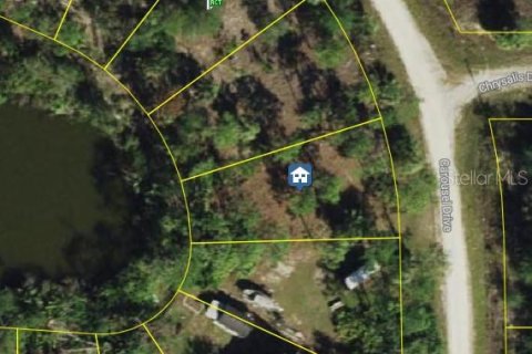 Land in Punta Gorda, Florida № 2162445 - photo 2