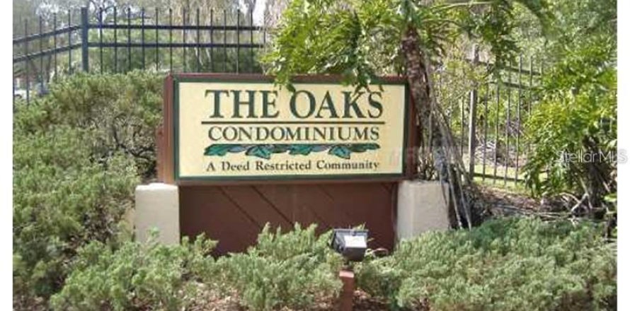 Condo à Tampa, Floride, 2 chambres  № 2103310