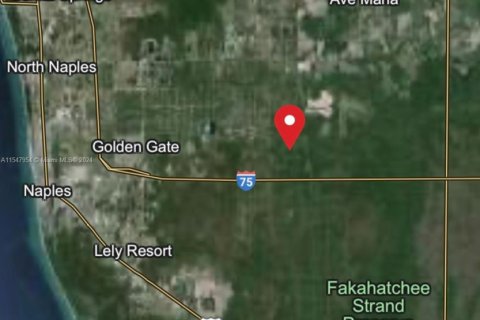 Terreno en venta en Naples, Florida № 1959122 - foto 4