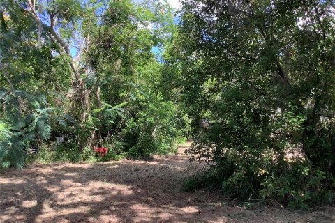 Casa en venta en Eustis, Florida, 2 dormitorios, 75.9 m2 № 1808688 - foto 6