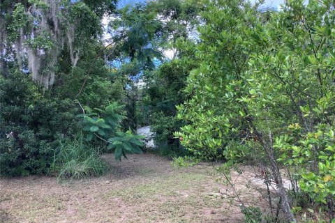 Casa en venta en Eustis, Florida, 2 dormitorios, 75.9 m2 № 1808688 - foto 5