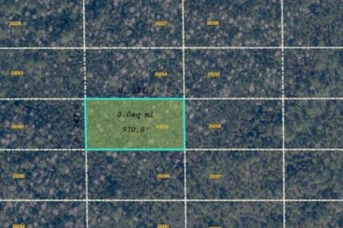 Land in Orlando, Florida № 2233568 - photo 3