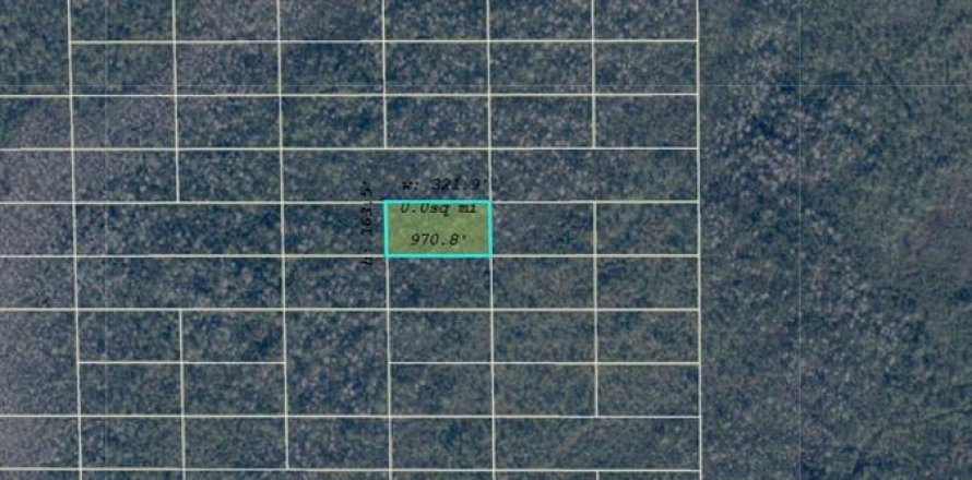 Land in Orlando, Florida № 2233568