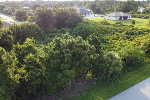 Land in North Port, Florida № 2160349 - photo 16