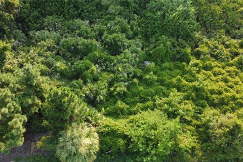 Land in North Port, Florida № 2160349 - photo 8