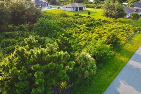 Land in North Port, Florida № 2160349 - photo 2