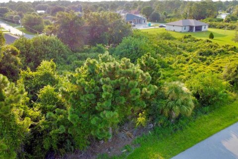 Land in North Port, Florida № 2160349 - photo 19