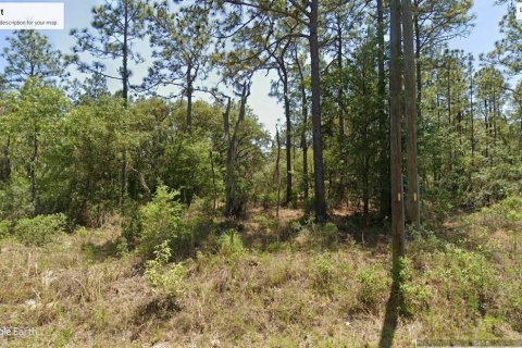 Land in Dunnellon, Florida № 2160997