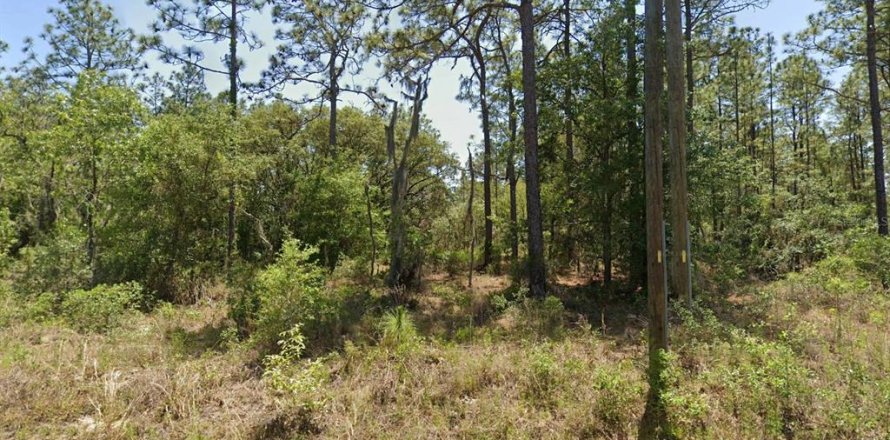 Land in Dunnellon, Florida № 2160997