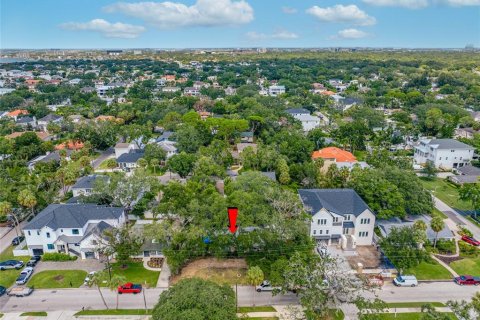 Land in Tampa, Florida № 1917034 - photo 6