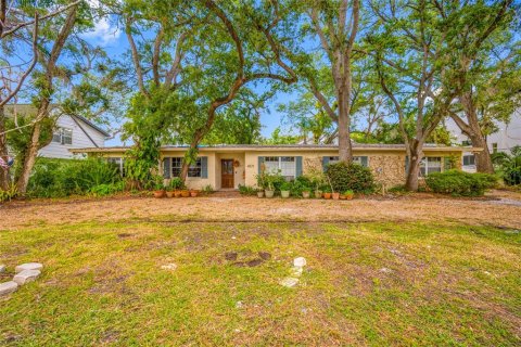 Land in Tampa, Florida № 1917034 - photo 1